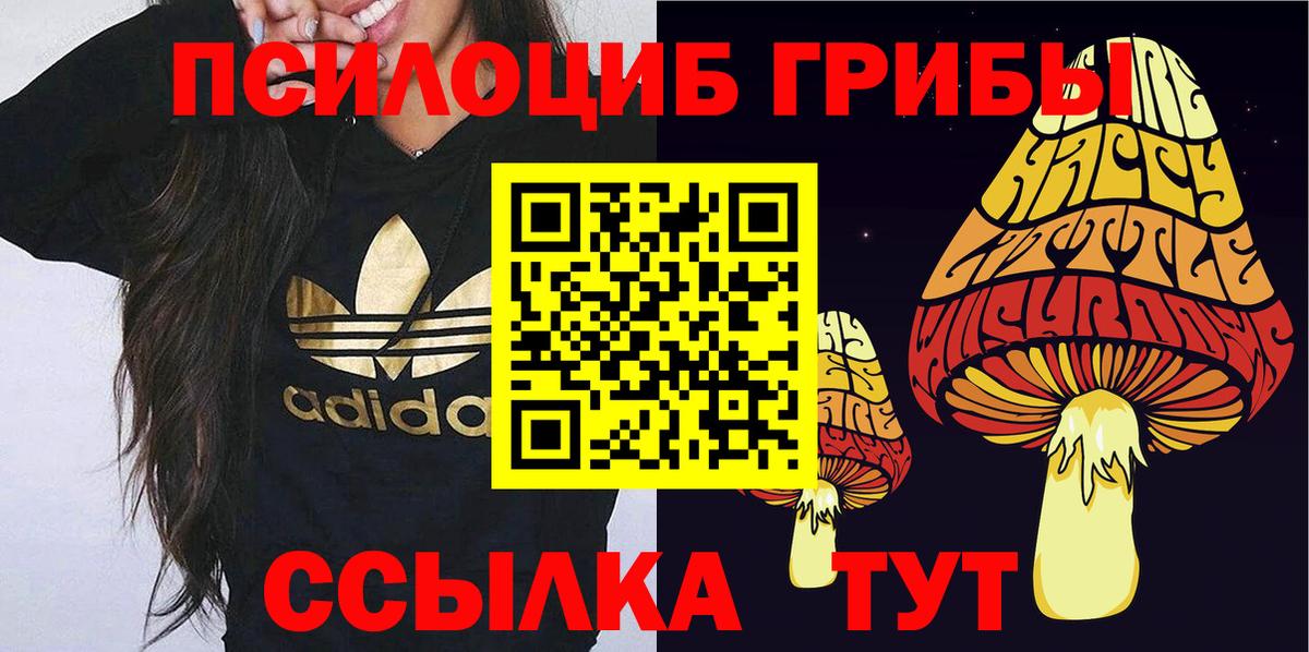 Бугуруслан  купить   Псилоцибиновые грибы GOLDEN TEACHER  Вход с VPN  Галлюциногенные грибы Psilocybe 